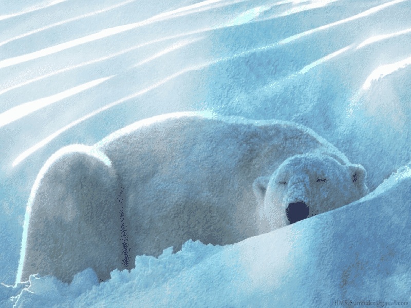 郑州加热试管要用什么夹住（试管报销政策山东淄博）