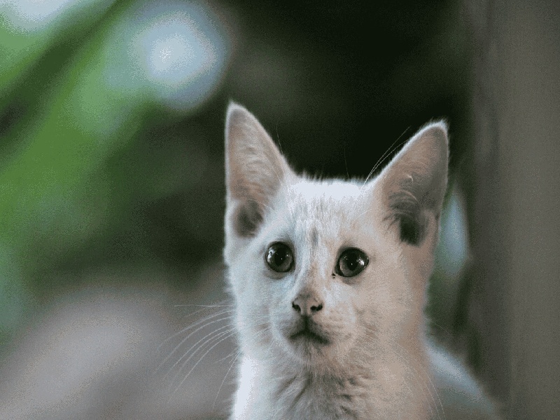 <strong>深圳武警试管检查（试管泰国花费）</strong>